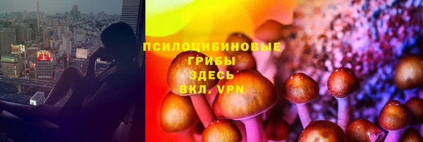 MDMA Premium VHQ Белокуриха